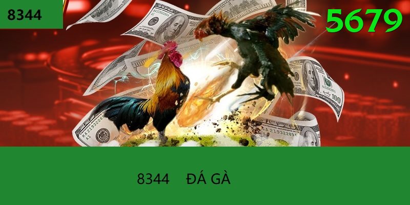 Đá Gà Trực Tiếp - Trải nghiệm tuyệt vời - Game RPG