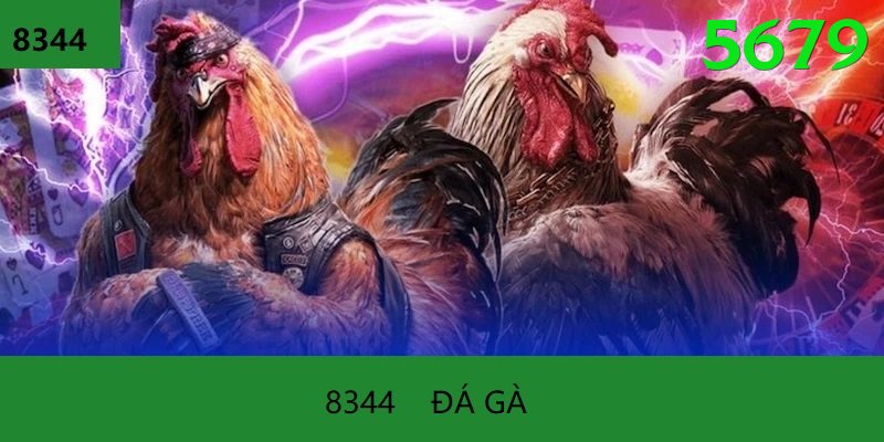 Đá Gà Trực Tiếp - Ưu đãi đặc biệt - Game Web3